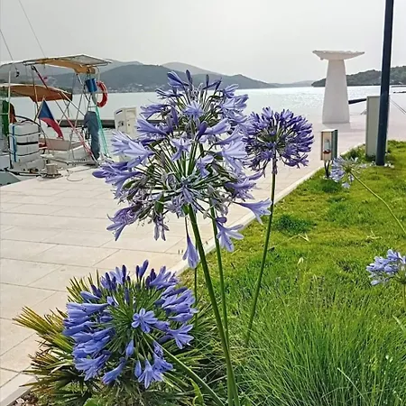 Apartmán Zura *